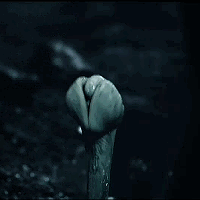 prometheus snake o hai