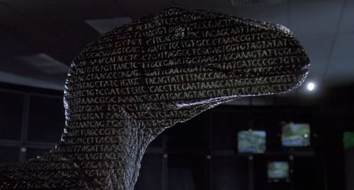 raptor dna