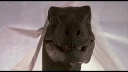 raptor head turn