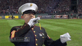 marine_salute_vyradfx2