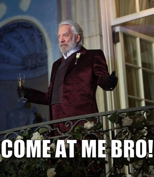 Snow Come at me Bro