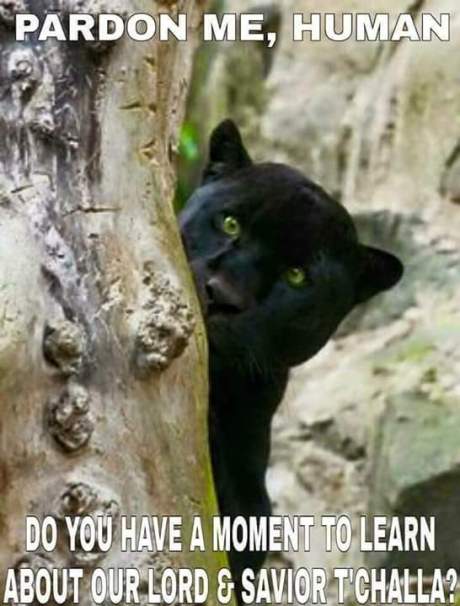 Panther Mormon